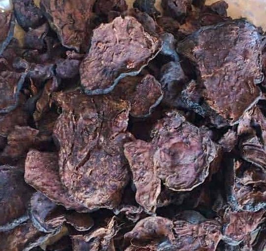 hà thủ ô đỏ 1