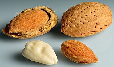 Stacked from 30 images