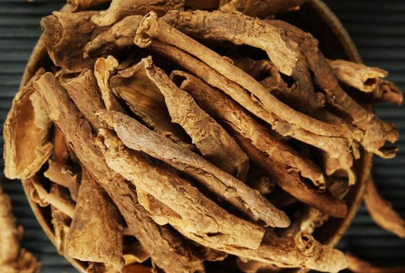 ngũ gia bì chân chim 4