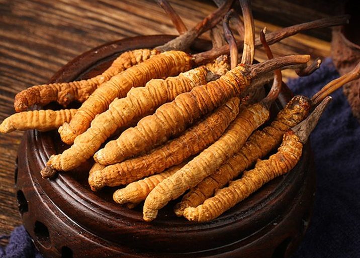 đông trùng hạ thảo 4