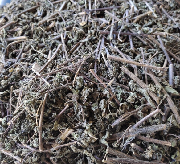 hương nhu trắng 3