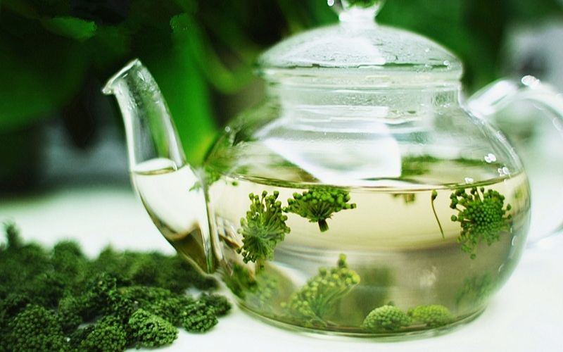 nụ hoa tam thất 4