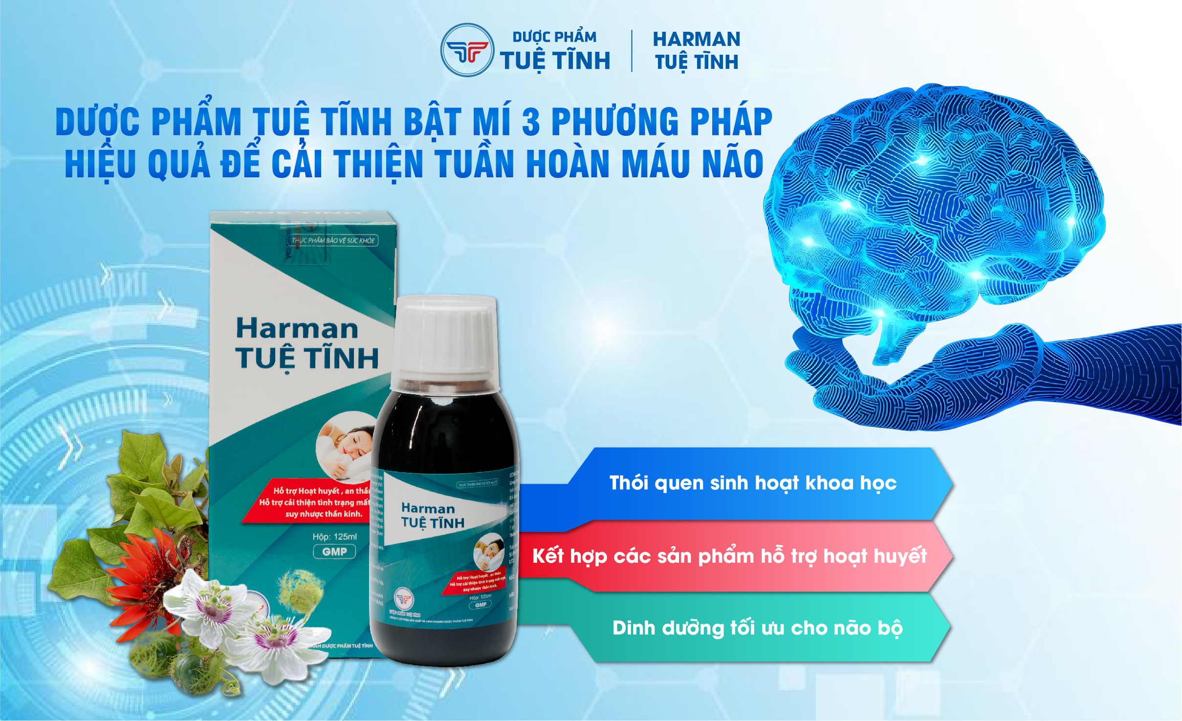 Dược Phẩm Tuệ Tĩnh bật mí 3 phương pháp hiệu quả để cải thiện tuần hoàn máu não