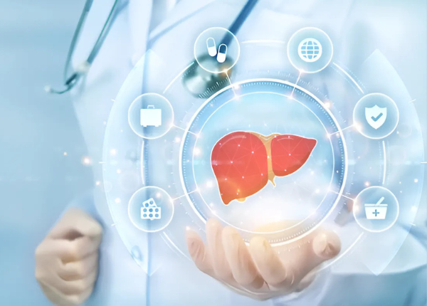 Sử dụng thuốc bổ gan như nào là an toàn, hiệu quả? 