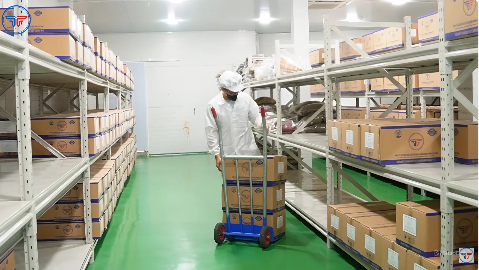 Dược phẩm Tuệ Tĩnh khám phá nhà kho mới chuẩn GSP